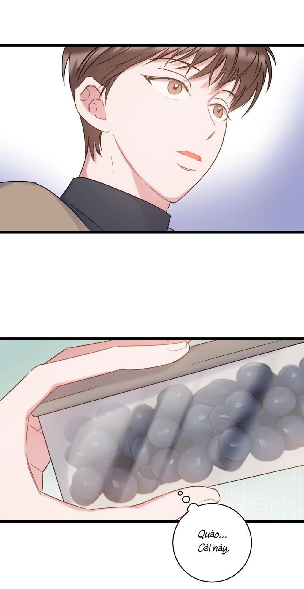 tình yêu bình dị nhất chapter 12 47