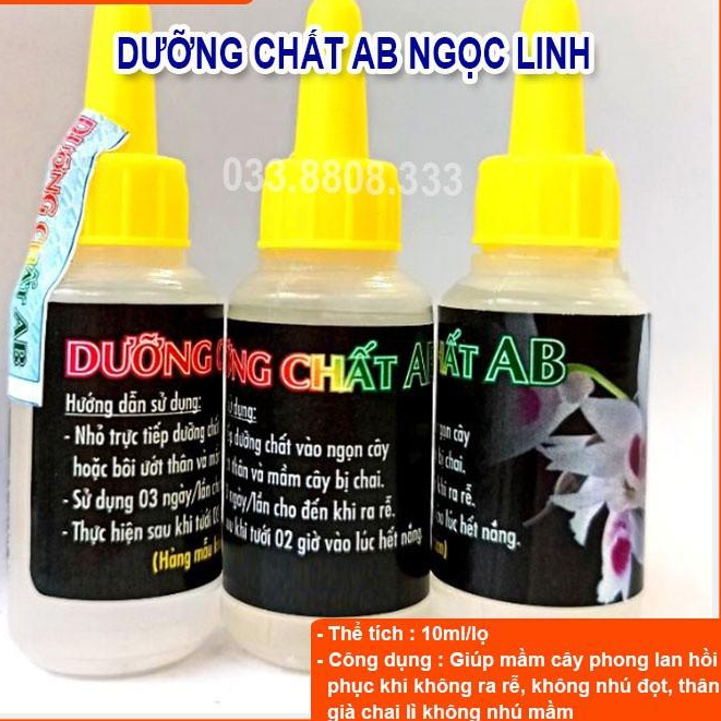 Dưỡng Chất AB Giúp Phục Hồi Mầm Gốc, Kích thích Ra Rễ, Nuôi Dưỡng Mầm Hoa