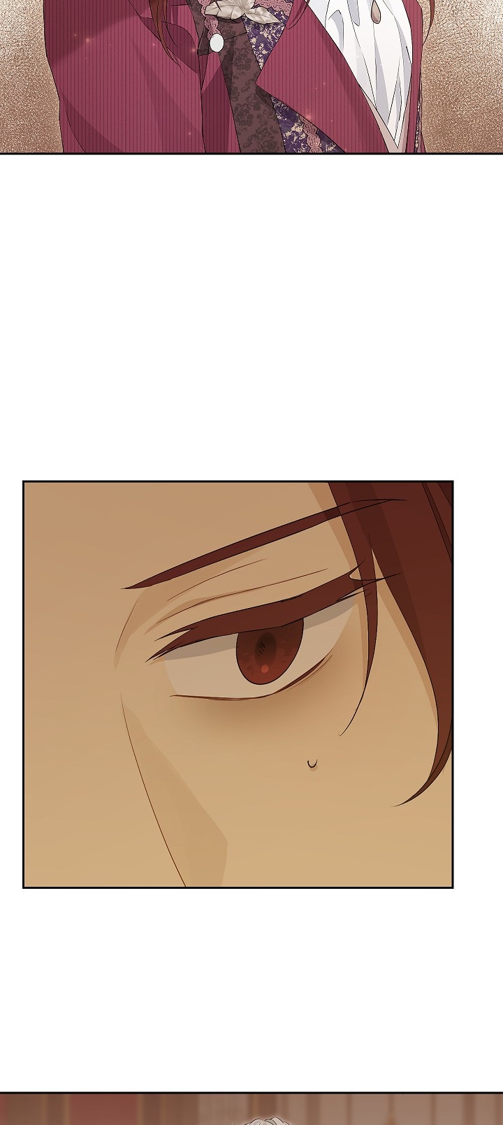 thật ra ta mới là hàng thật chapter 113.2 23