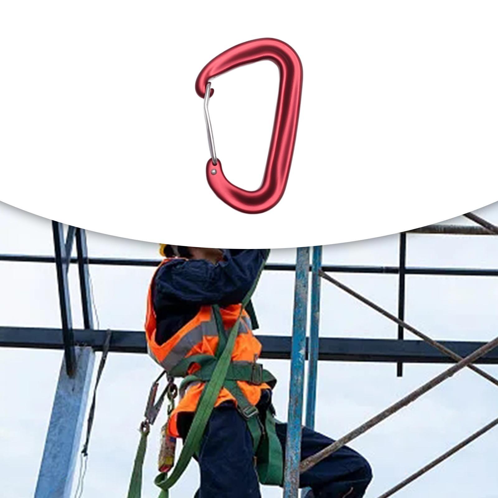 Carabiner Clip Heavy Duty Caribeaners Hardware Metal Spring Snap Hook Climbing Carabiner D Shaped Carabiner for Backpack Fishing Harness