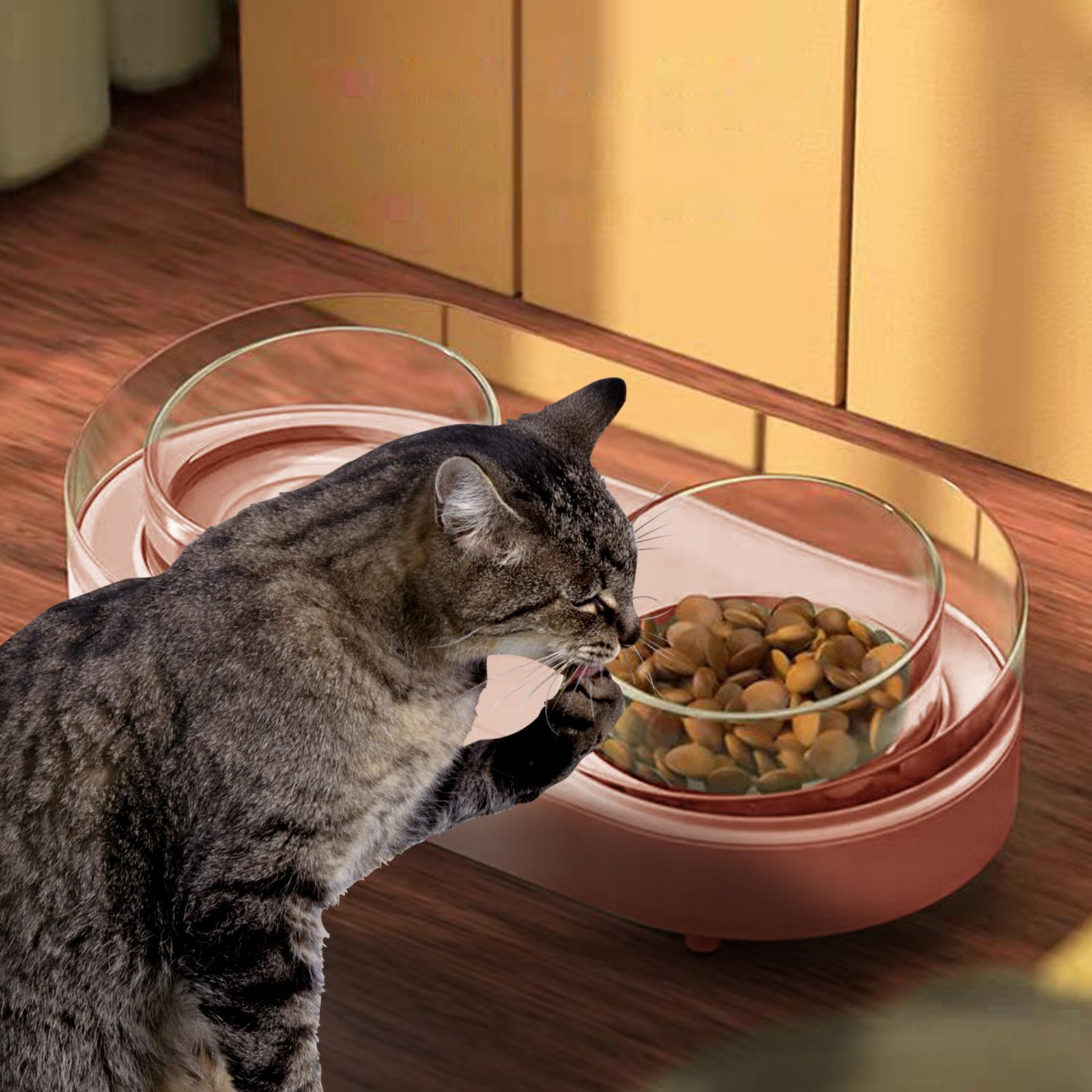 Glass Double Cat Water and Food Bowls Pet Feeder Waterer Pet Dispenser