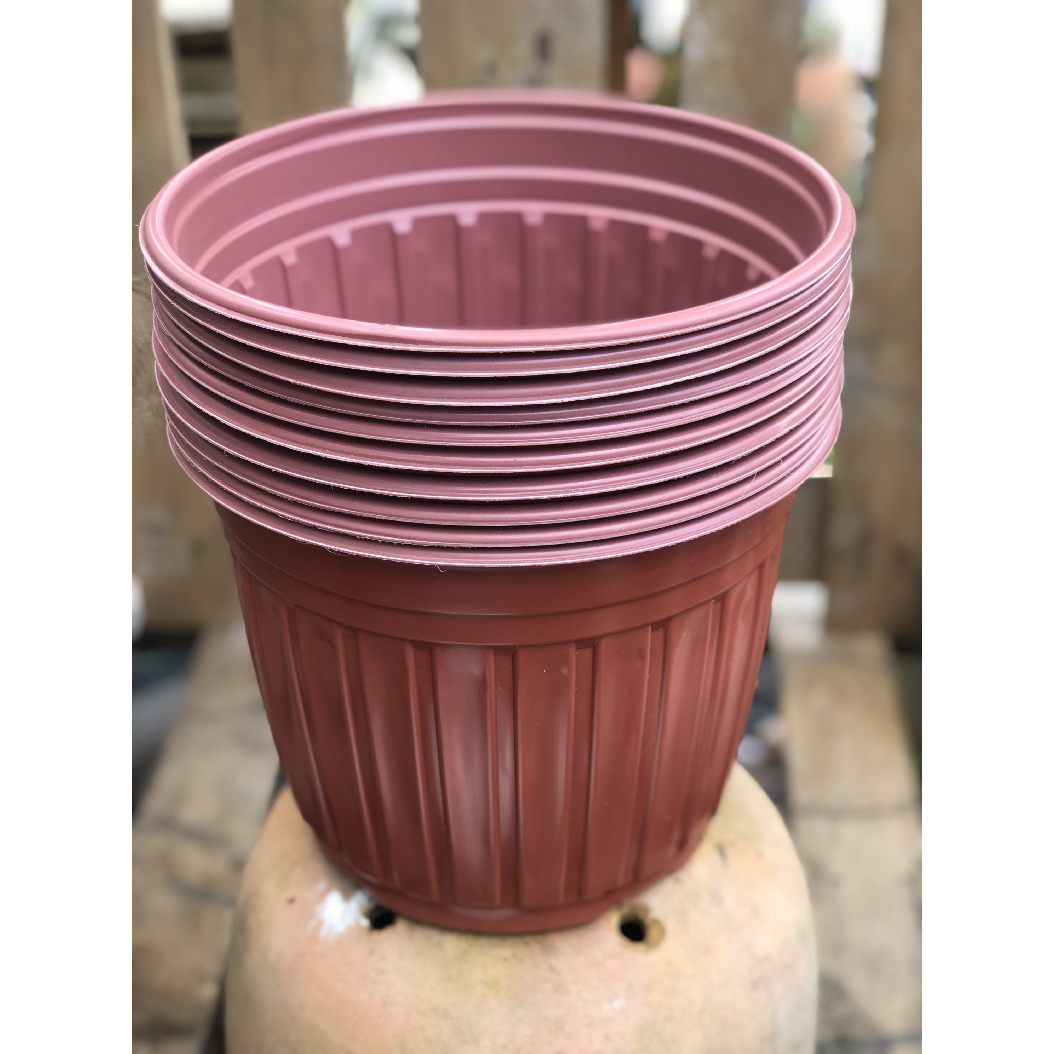 Bộ 10 chậu trồng cây màu nâu kích thước fi 260 x 200 mm