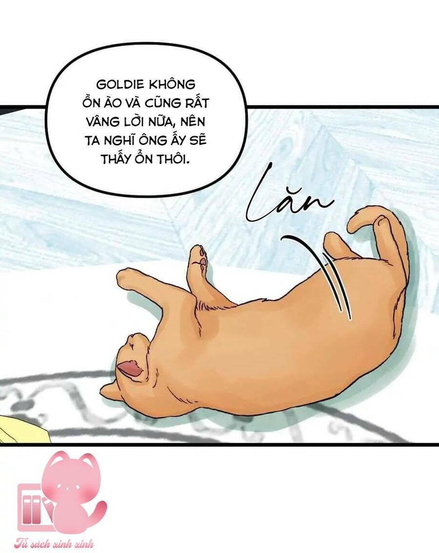 công chúa bãi rác chapter 64 66