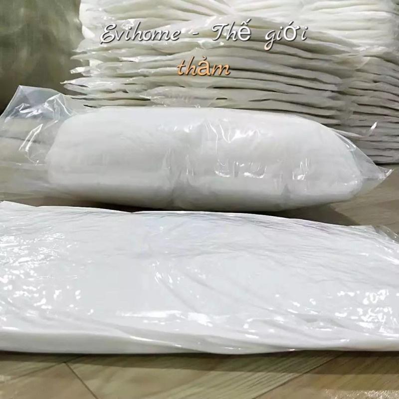 Ruột Gối Đầu Khách Sạn Trắng Tinh Khiết Bông Polyester Độ Nẩy Cao Có Khoá Kéo Đủ Kích Thước