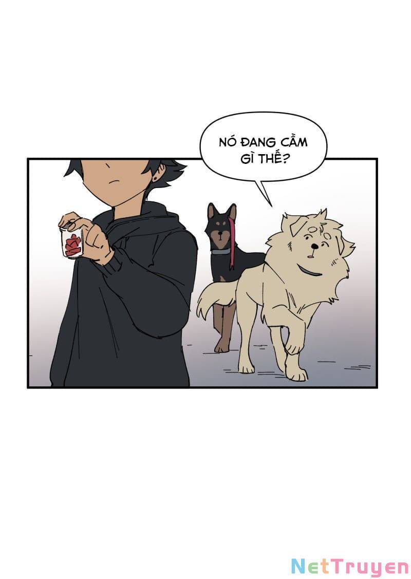 lumine - cội nguồn ánh sáng chapter 154 3