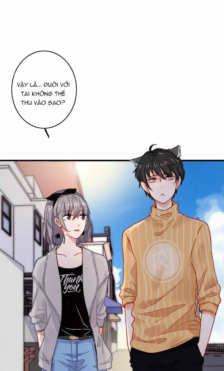 thập quang mật ngữ chapter 11.5 3