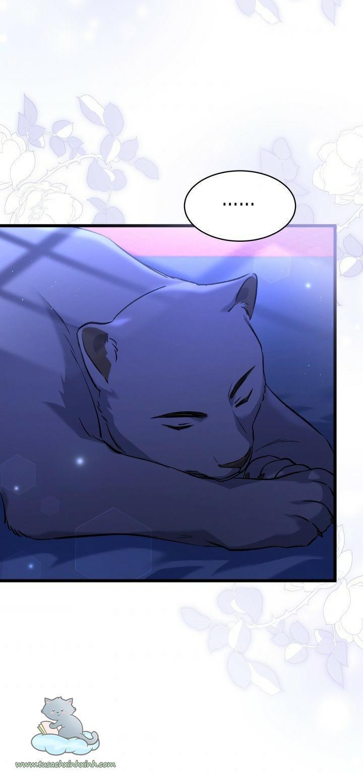 quan hệ cộng sinh giữa báo đen và thỏ trắng chapter 54 22