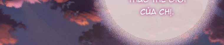 tôi sẽ cố gắng bảo vệ em gái chapter 26 357