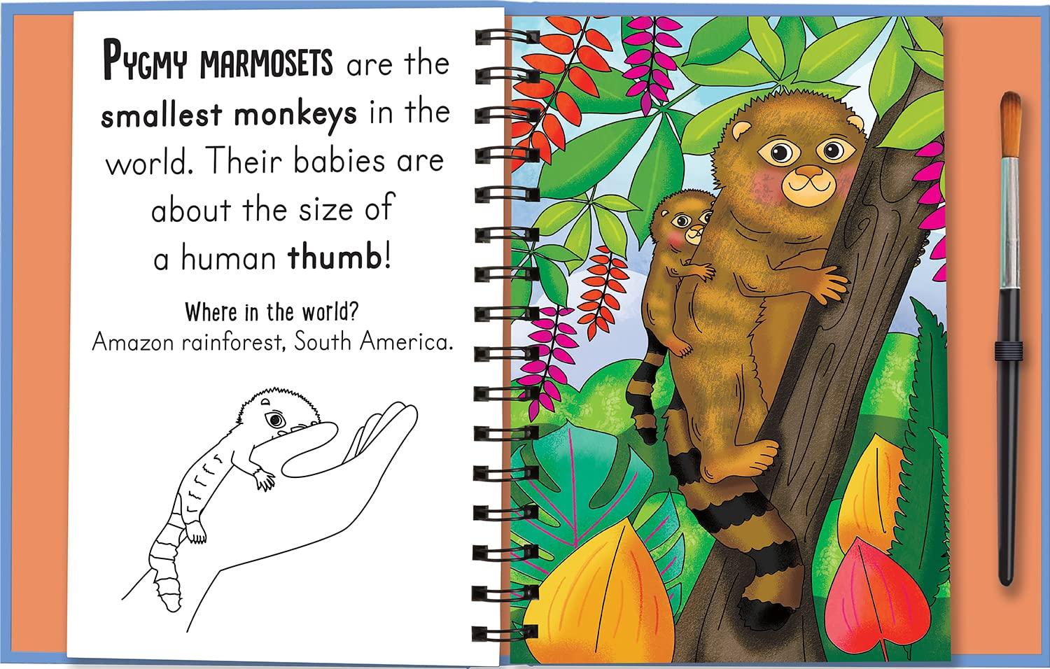 Sách ngoại văn: Woof And Meow - Baby Animals (Magic Water Colouring)