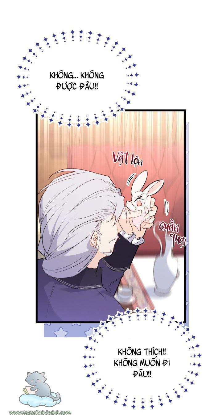 quan hệ cộng sinh giữa báo đen và thỏ trắng chapter 48 53