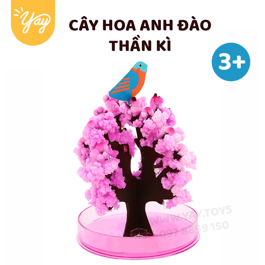 Cây Hoa Anh Đào Sakura Trang Trí Thần Kỳ Tự Nở Cho bé 3+ - Tooky Toy