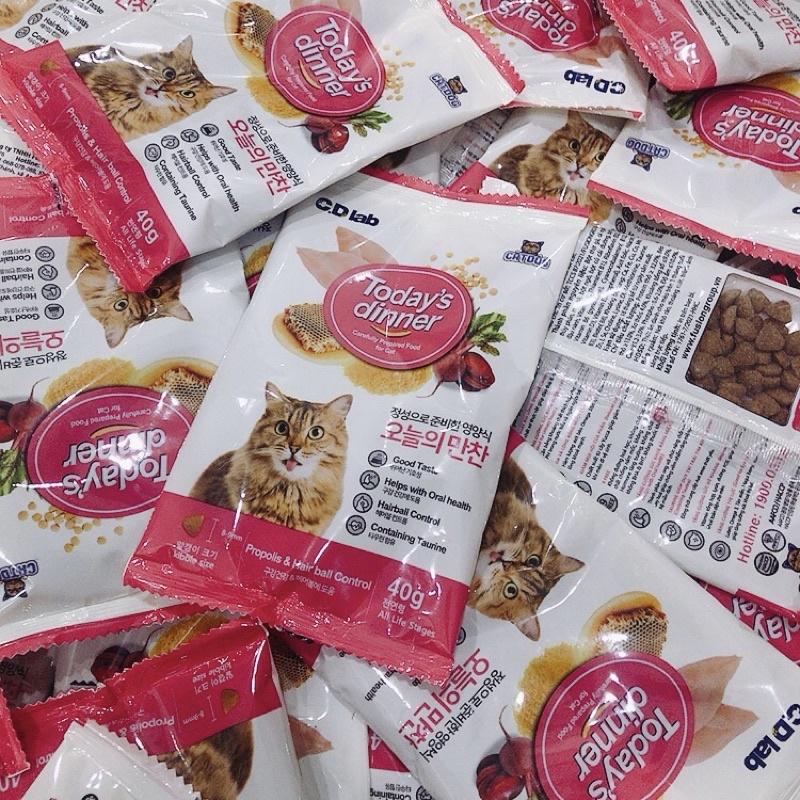 Thức ăn hạt cho mèo TODAY'S DINNER nhập khẩu Hàn Quốc - thức ăn cho mèo mọi lứa tuổi