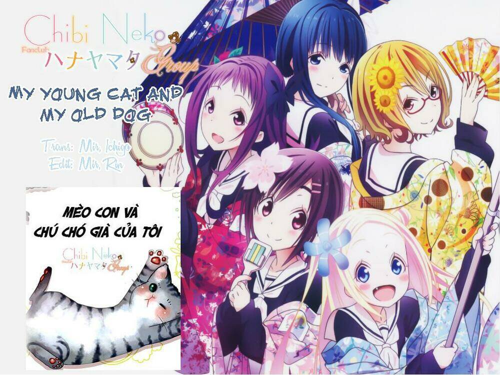 mèo con và chú chó già của tôi chapter 1 1