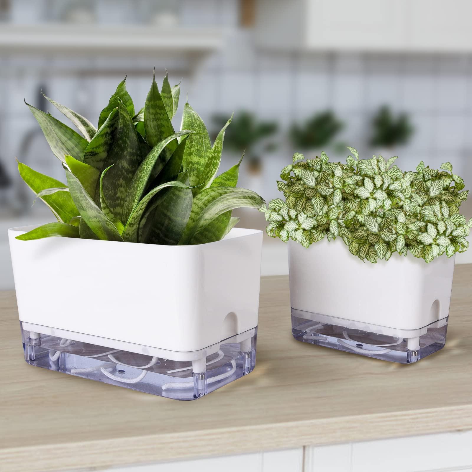 Nồi hoa, bộ 2 nồi thảo mộc, với hệ thống tưới tự động, cây trồng, chậu thơm thảo dược, lọ hoa bên trong ngoài trời