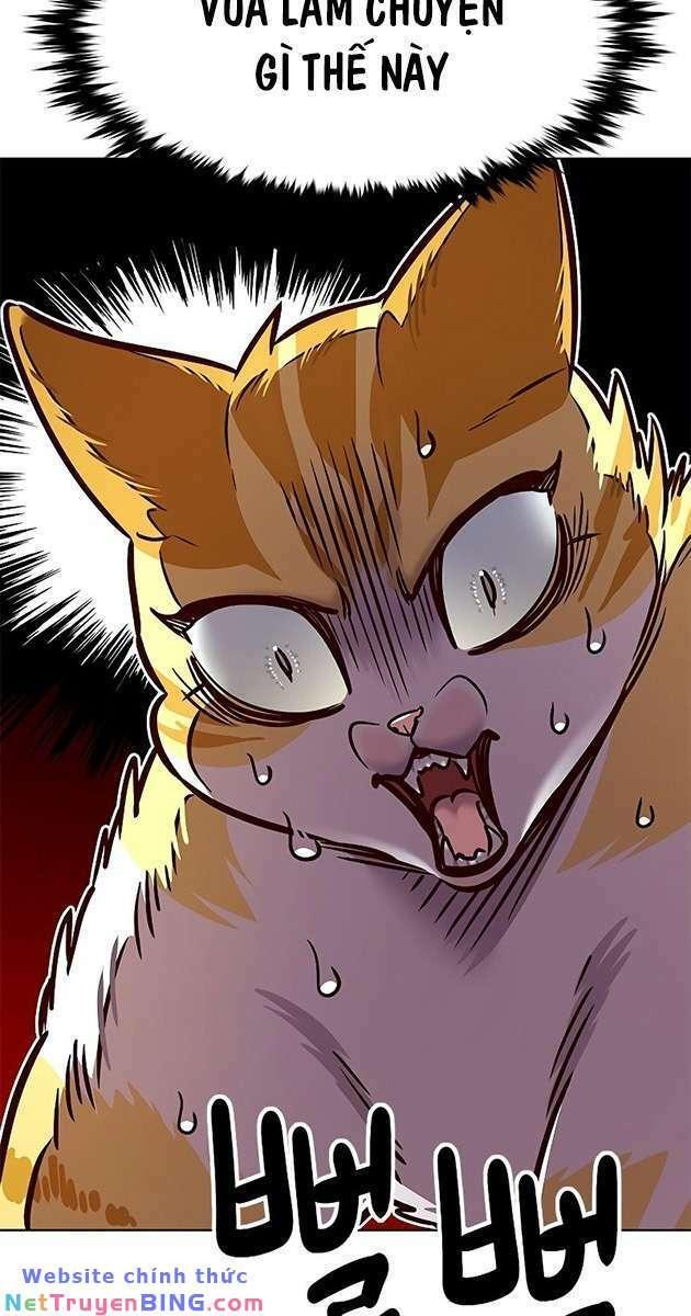 biến thân thành mèo chapter 278 9