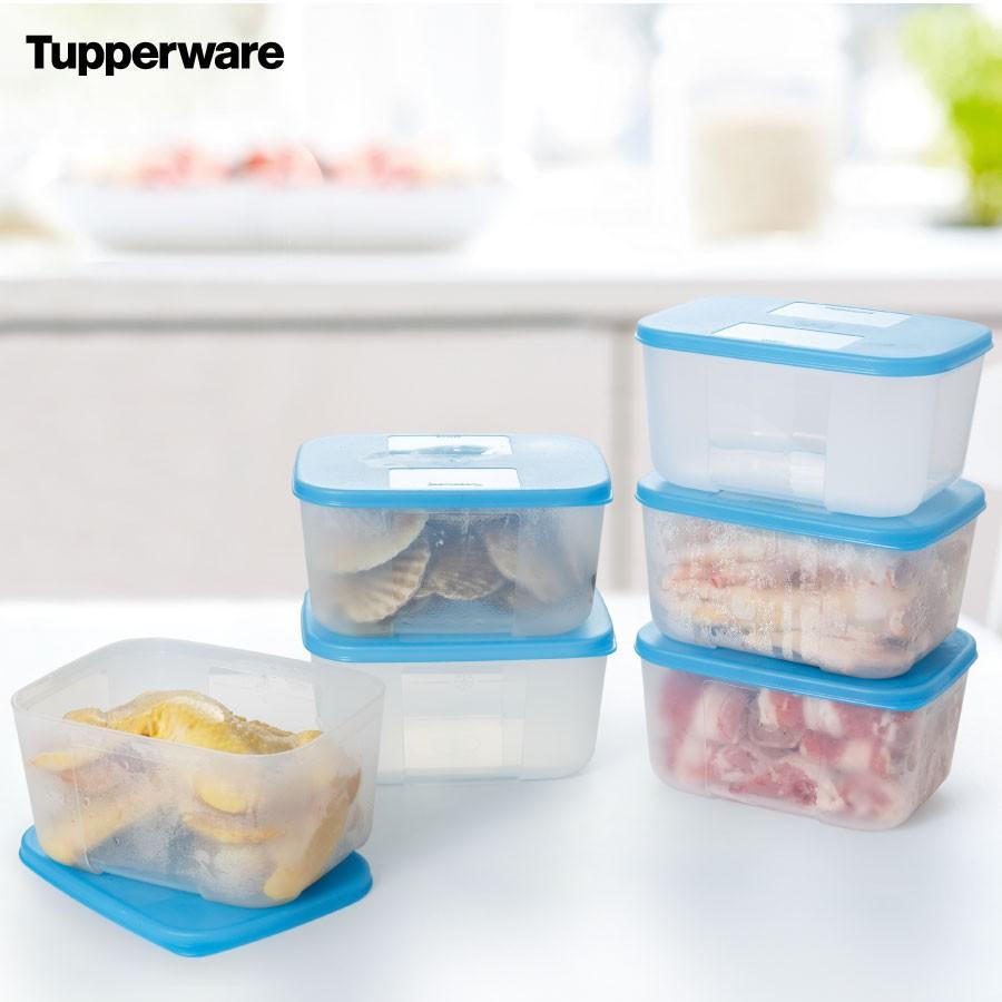 Bộ Hộp Trữ Đông Freezermate 650ml 6 Hộp Tupperware, Hộp Trữ Thực Phẩm, Nhựa Nguyên Sinh An Toàn