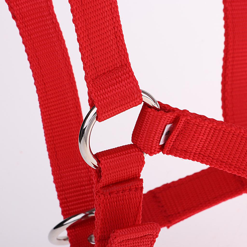 Adjustable Nylon Webbing Equestrian Western Horse Halter Horse Riding Wear Red S