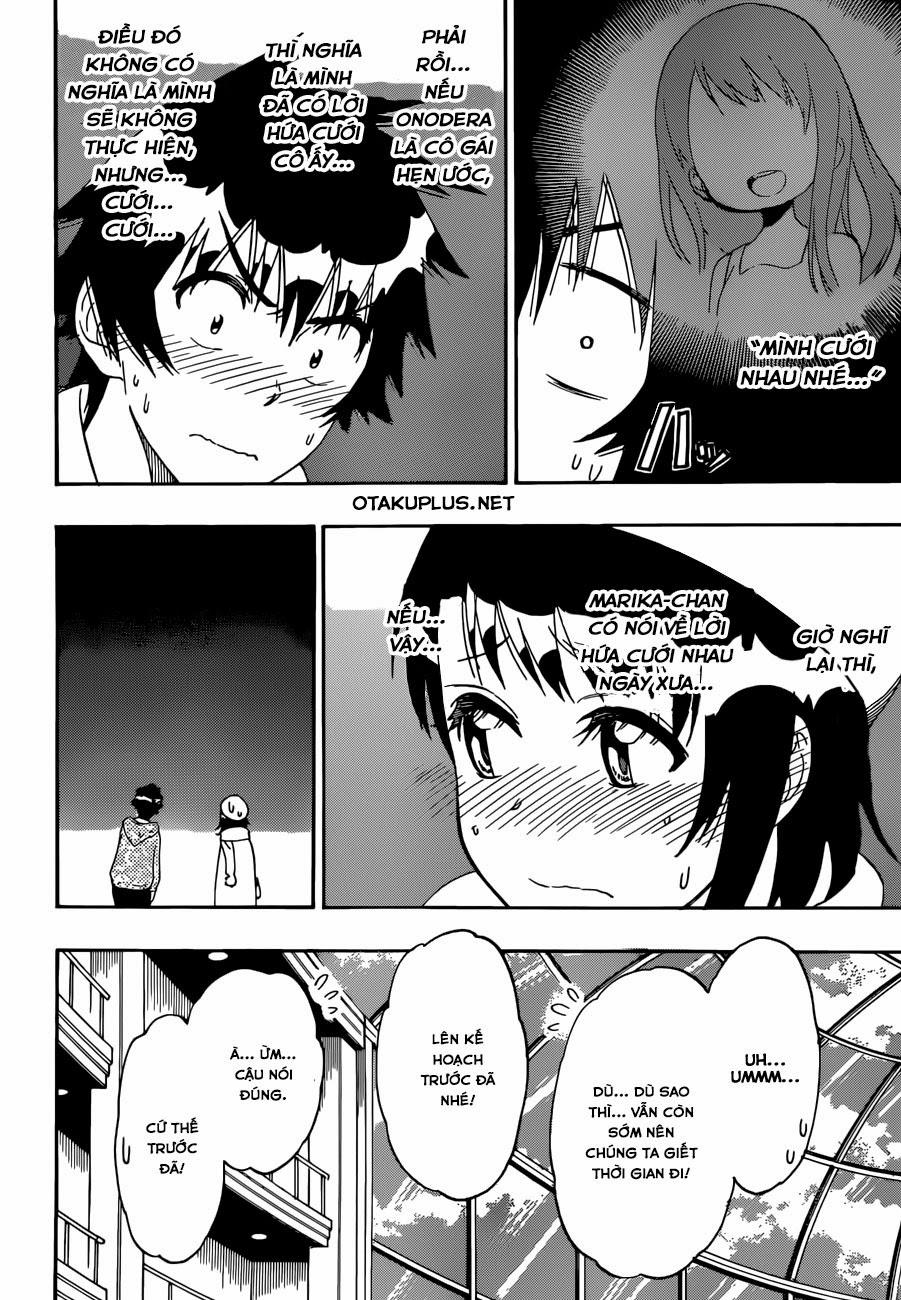 nisekoi - tình yêu giả tạo chapter 165 14