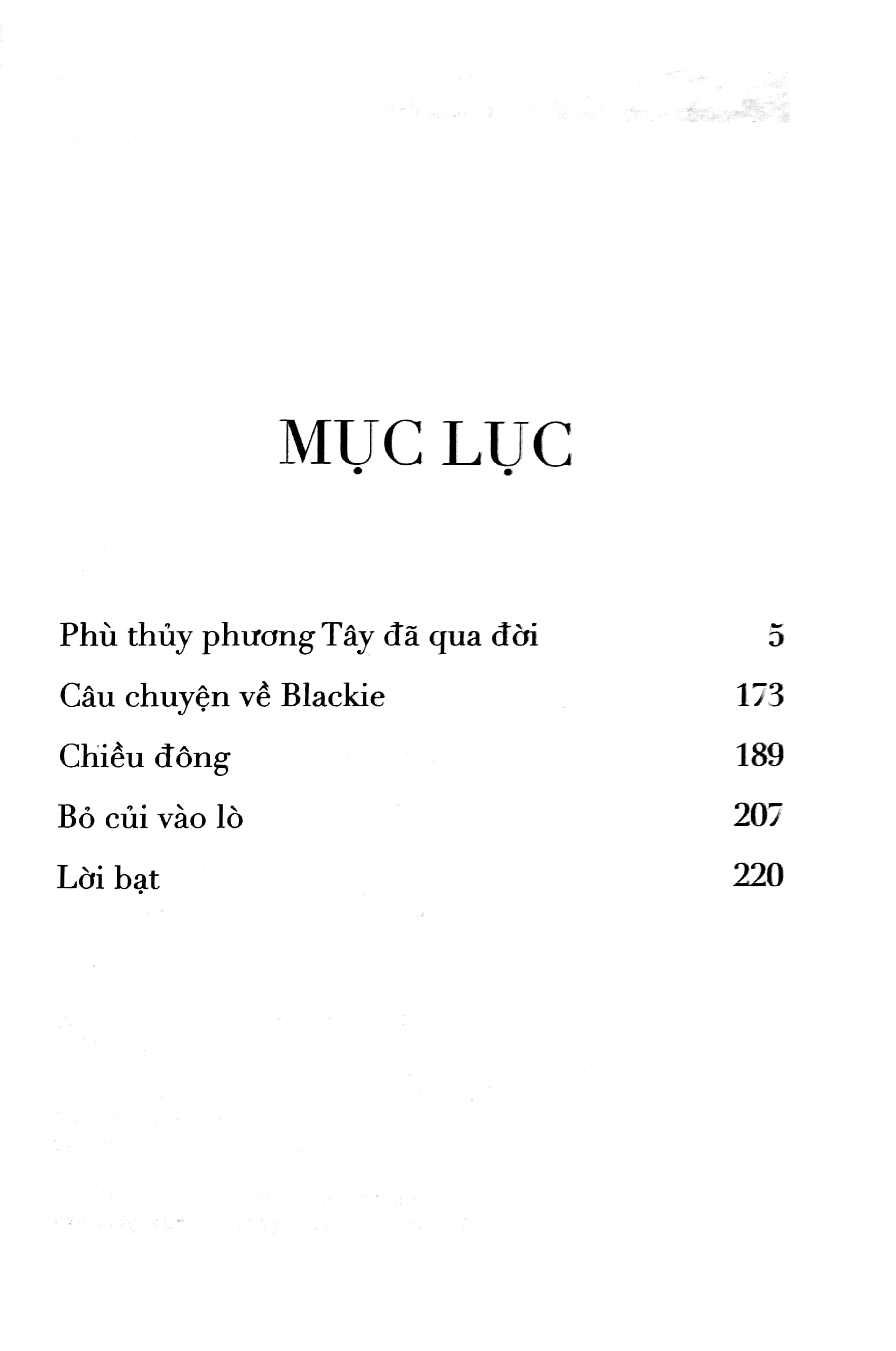 Bà Ngoại Phù Thủy Và Mùa Hè Tập Sự