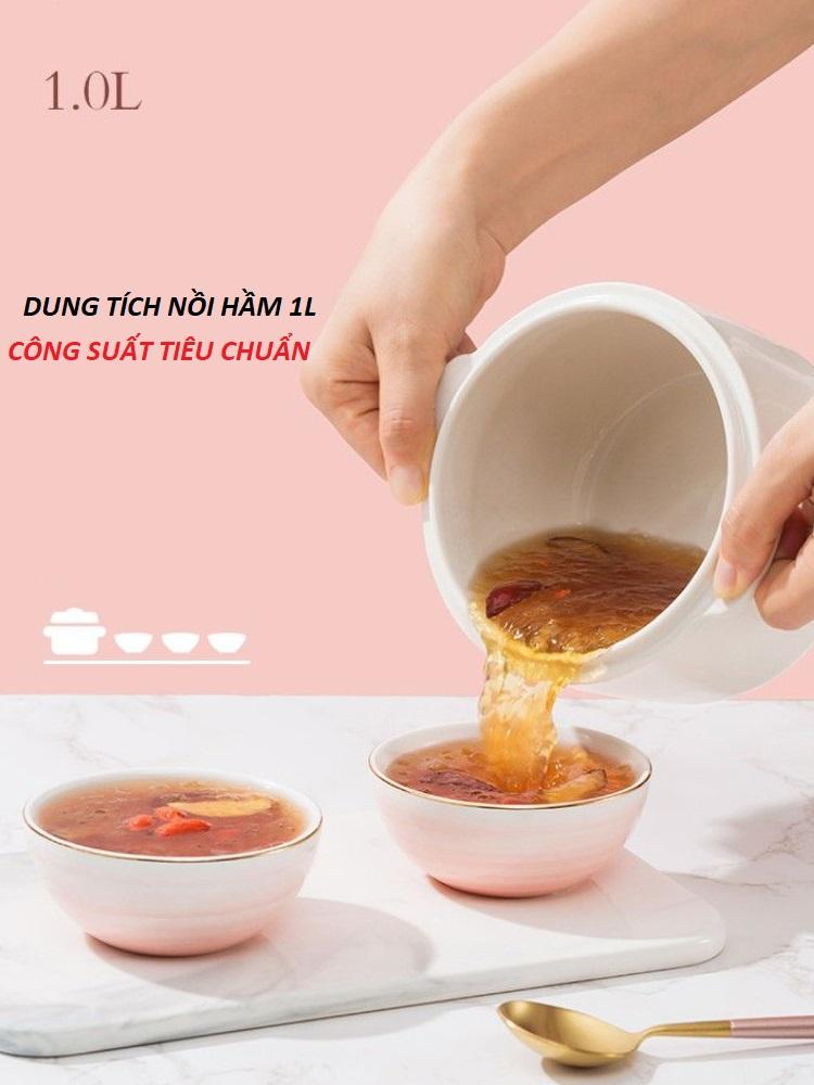 Nồi Hầm Cháo 6 Chế Độ (Giao Màu Ngẫu Nhiên) - Giao Hàng Toàn Quốc