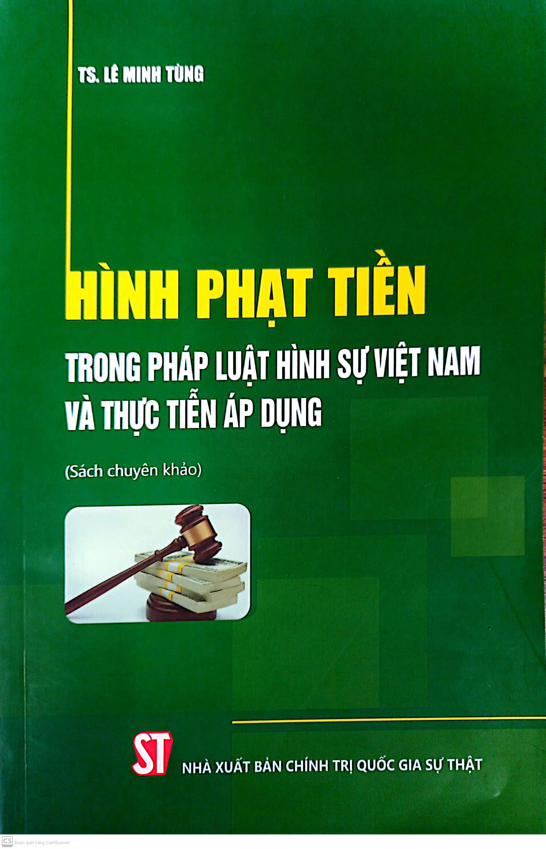 Hình phạt tiền trong pháp luật hình sự Việt Nam và thực tiễn áp dụng (sách chuyên khảo)