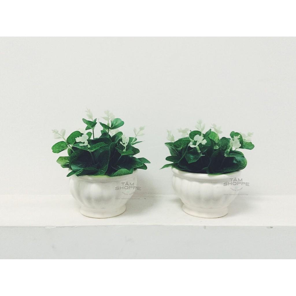 Chậu hoa Vintage lá mắc trâu để bàn No.28
