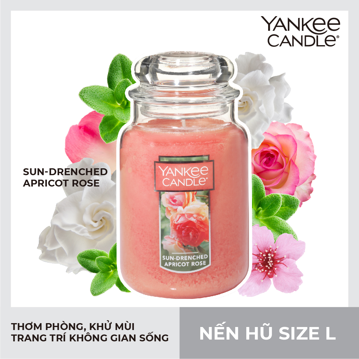 Nến hũ Yankee Candle size L - Sun Drenched Apricot Rose