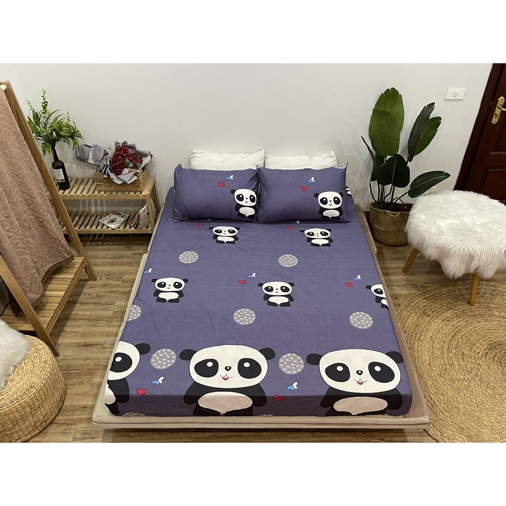 Set ga 3 món 1 ga chun và 2 vỏ gối các kích thước