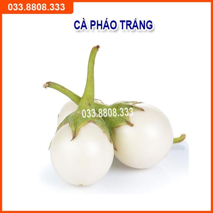 Bộ 4 Loại Hạt Giống Cà