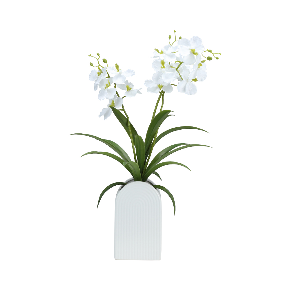 Chậu Cây Giả Polyester ANDAMAN Nhiều Màu W75xD50xH39 Cm|Index Living Mall|Nội Thất Thái Lan
