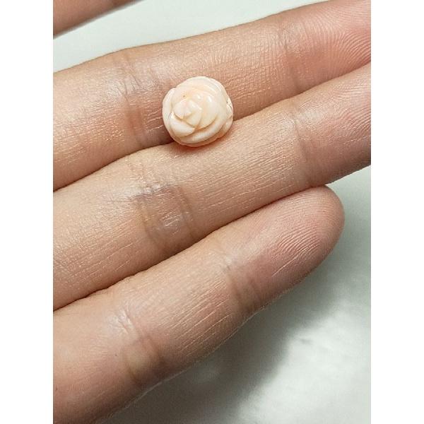 410- L Cham San Hô Không Nhuộm