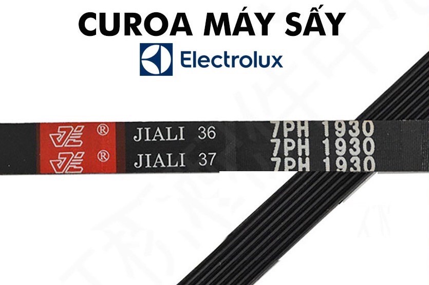 DÂY CUROA 7PH 1930 MÁY SẤY ELECTROLUX - HÀNG CHÍNH HÃNG