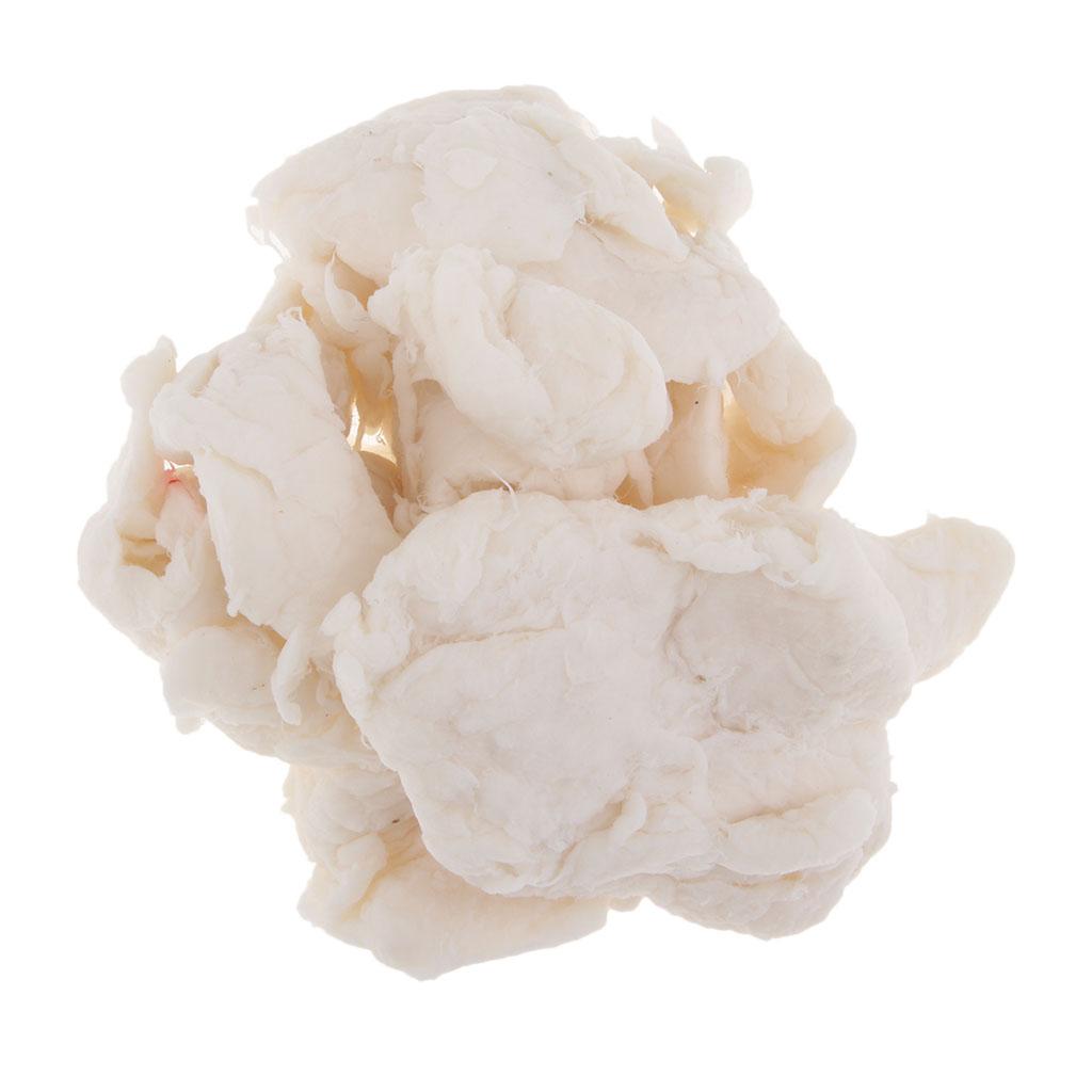 100G Bột Giấy Làm Giấy Papermaking Bột Giấy Cho Giấy Tái Chế Tiếp Liệu