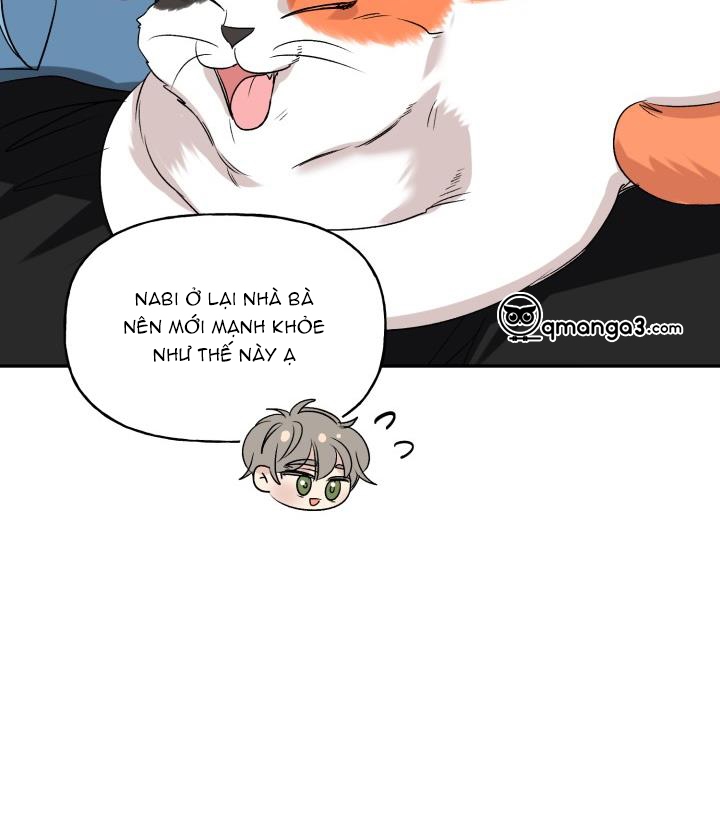 xác suất tình yêu chapter 56 77