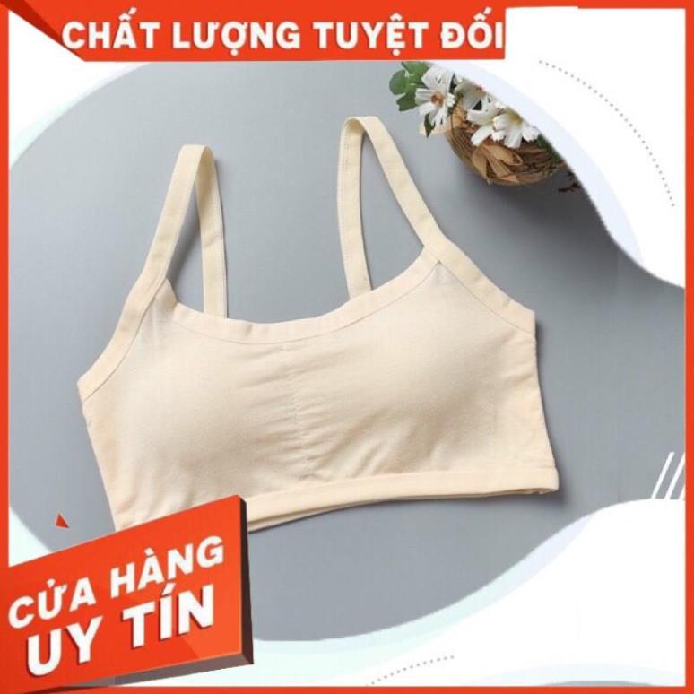 Áo Bra 3 Dây Có Đệm Ngực Không Gọng Mát Mỏng