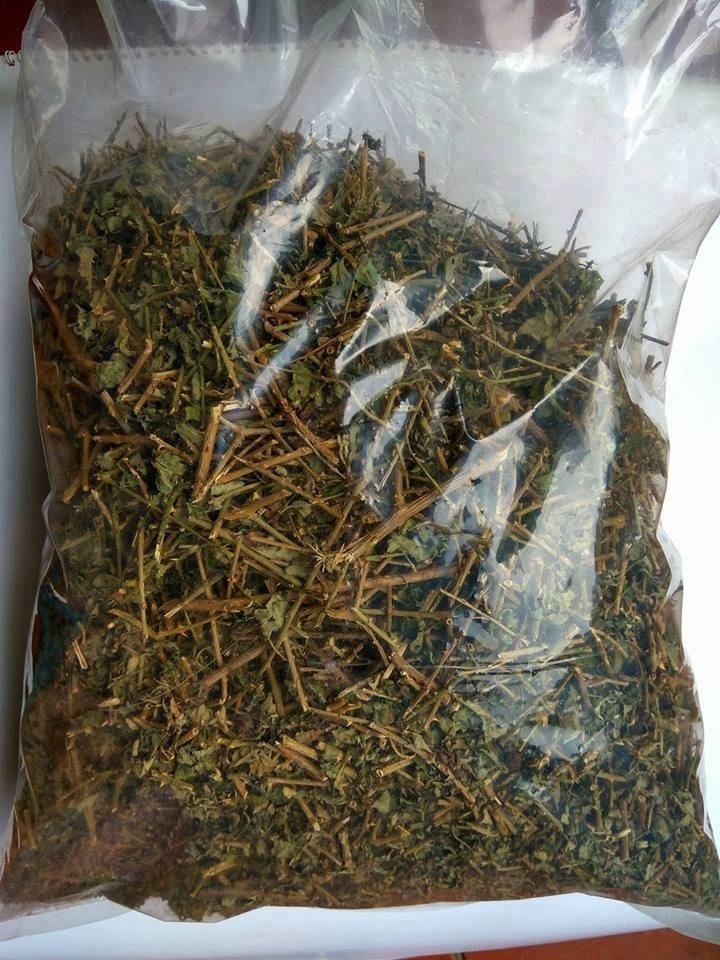CÀ GAI LEO SADU - DẠNG KHÔ 1KG
