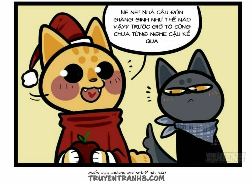 đời không như mình tưởng chapter 13 8