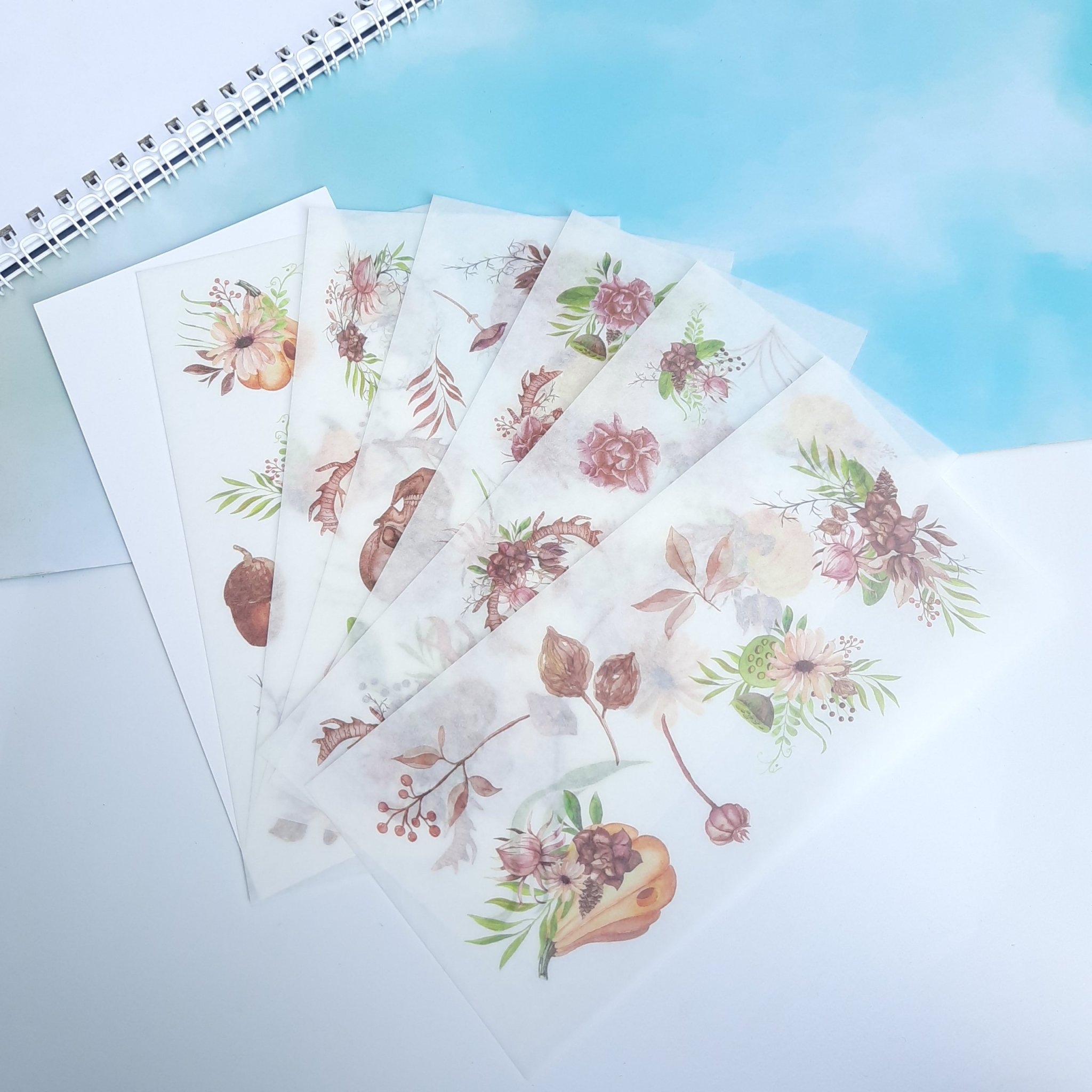 Bộ 6 Tấm Sticker Vườn Hoa Ma Quái