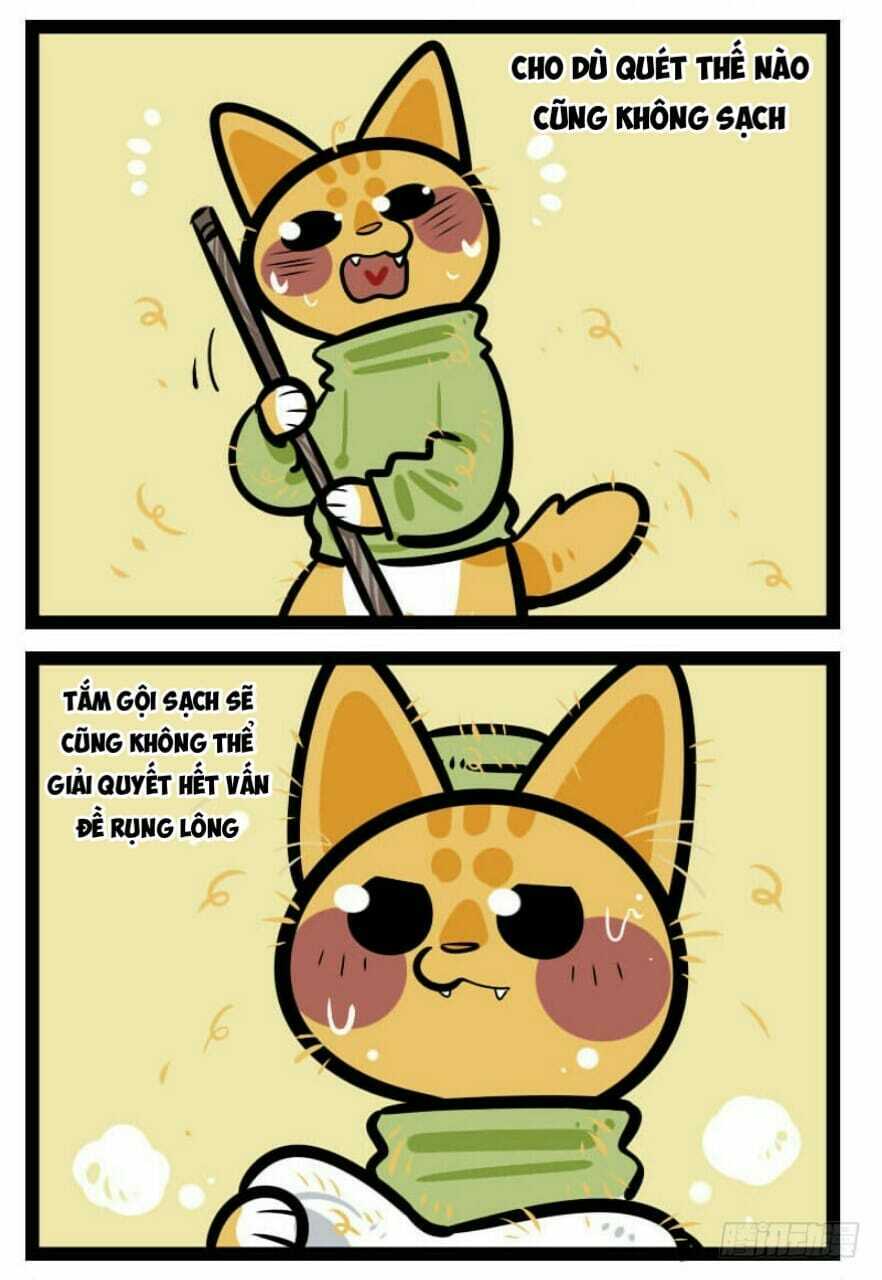 đời không như mình tưởng chapter 35 5