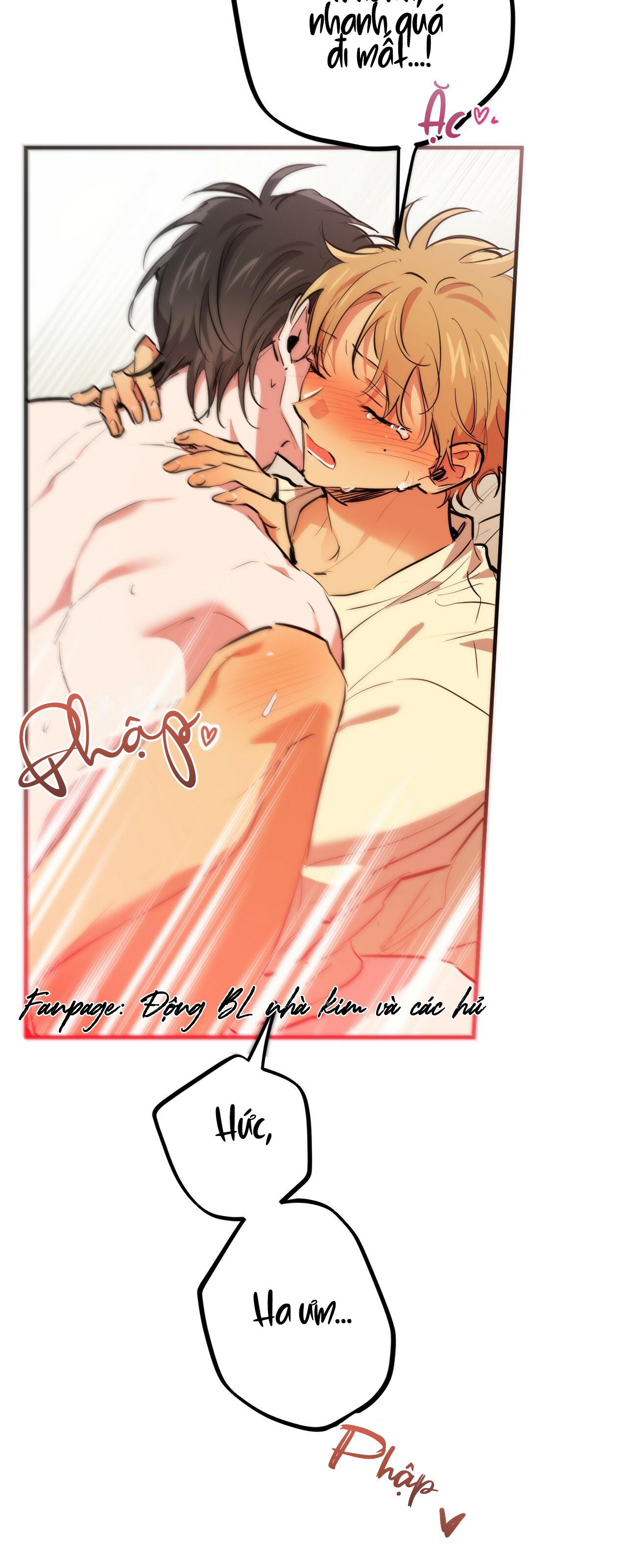 những chú thỏ của hapypy chapter 38 56