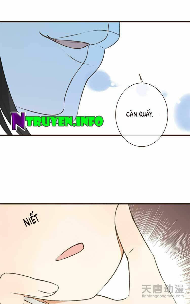 giáo chủ yêu nghiệt mau nằm xuống chapter 1.1 4