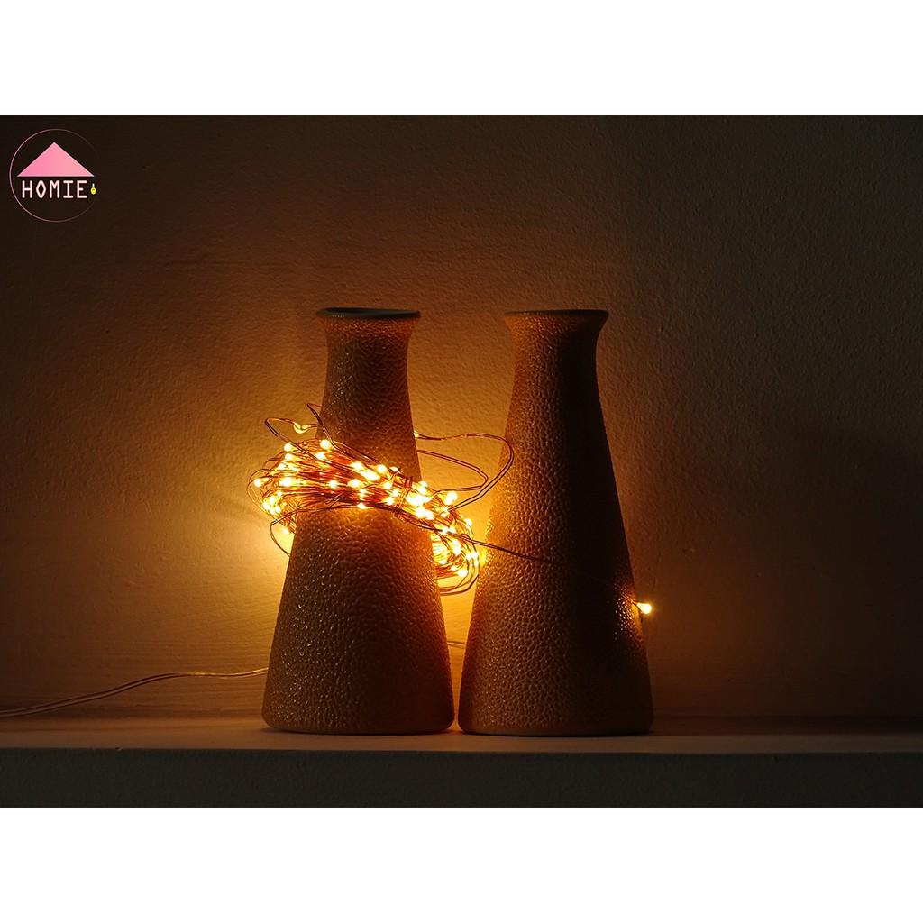 Dây đèn đom đóm LED Fairy Light trang trí đa năng