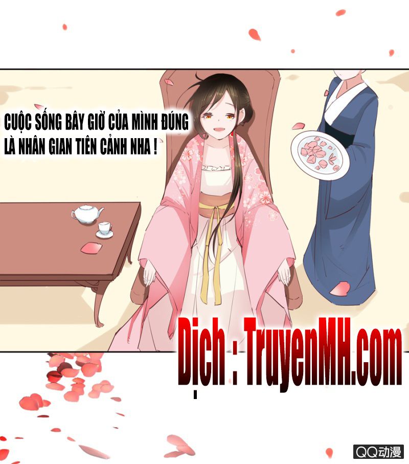 solo đi vương gia chapter 11 2