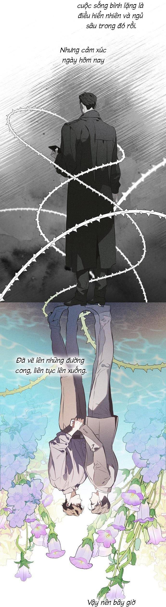 định tên mối quan hệ chapter 85 38