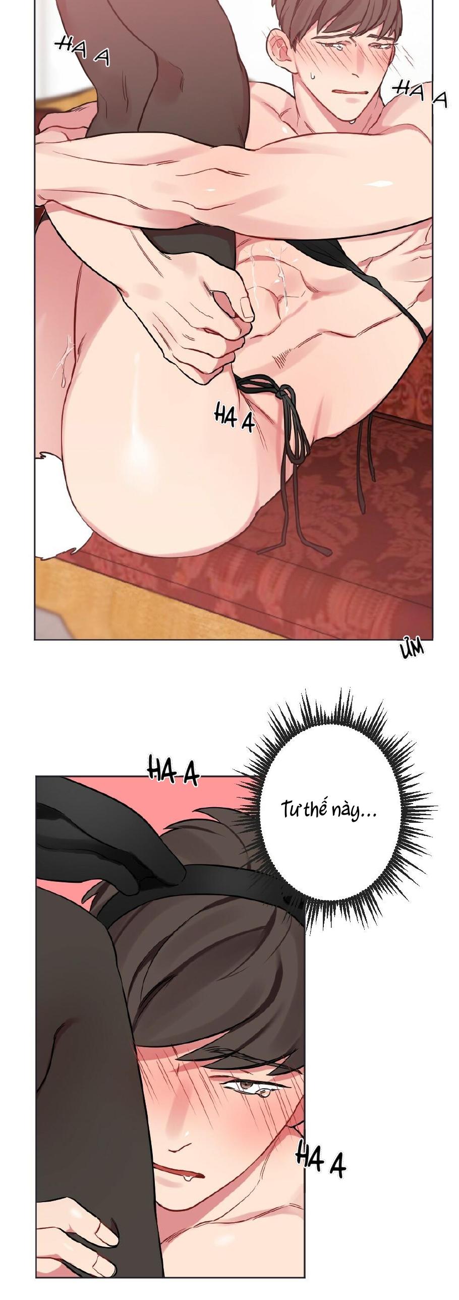 chăm sóc chapter 13 14