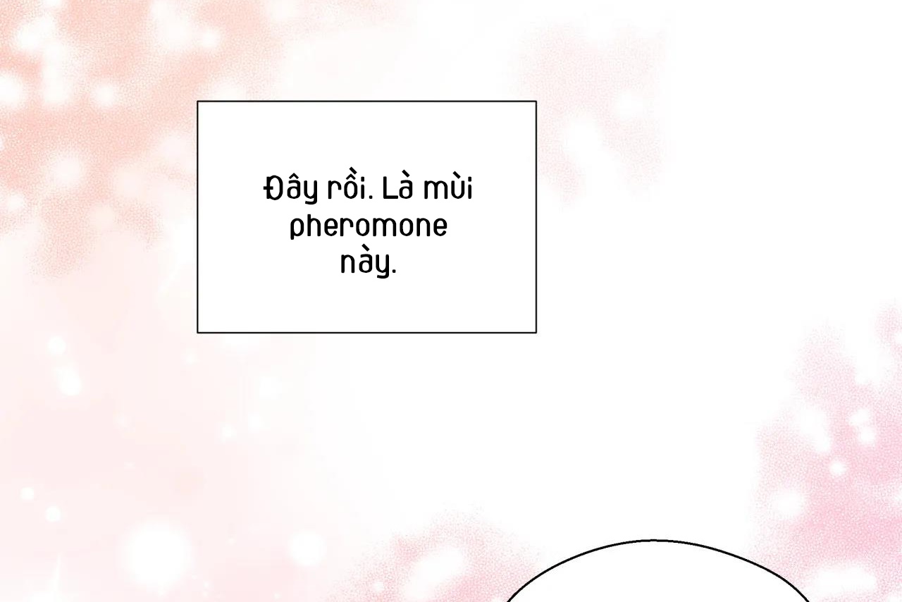 ám ảnh pheromone chapter 53 39