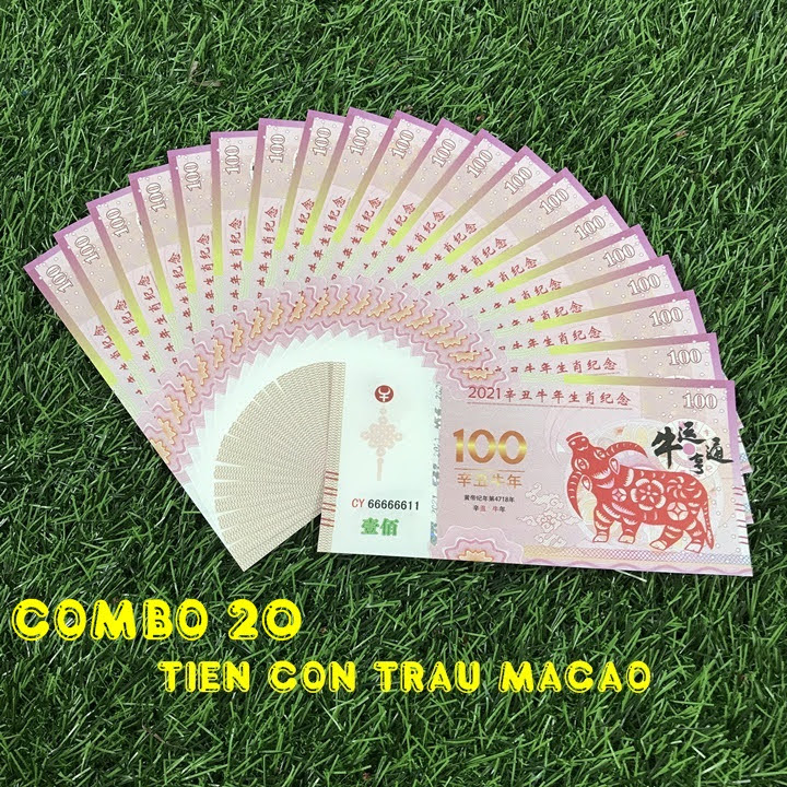 Combo 20 tờ lưu niệm 100 dola Macao hình con Trâu, dùng để sưu tầm, lưu niệm, làm tiền lì xì độc lạ, may mắn, ý nghĩa