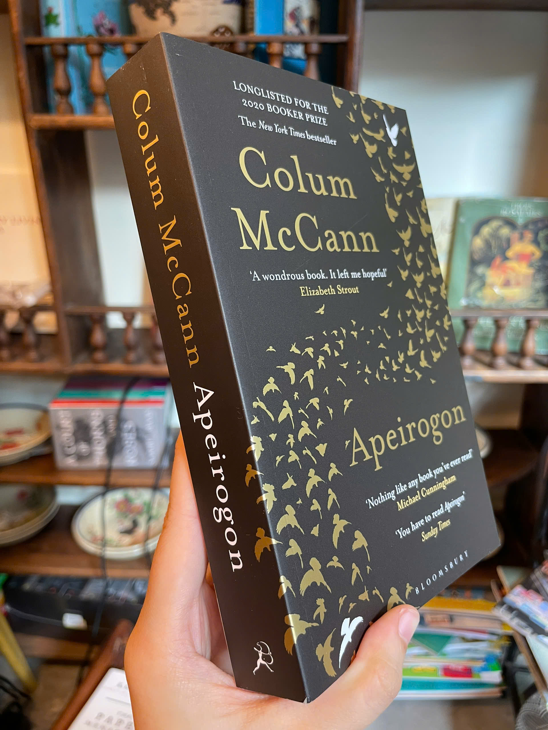 Sách - Apeirogon by Colum McCann | Historical / Political Fiction / Ngoại văn Nhập khẩu