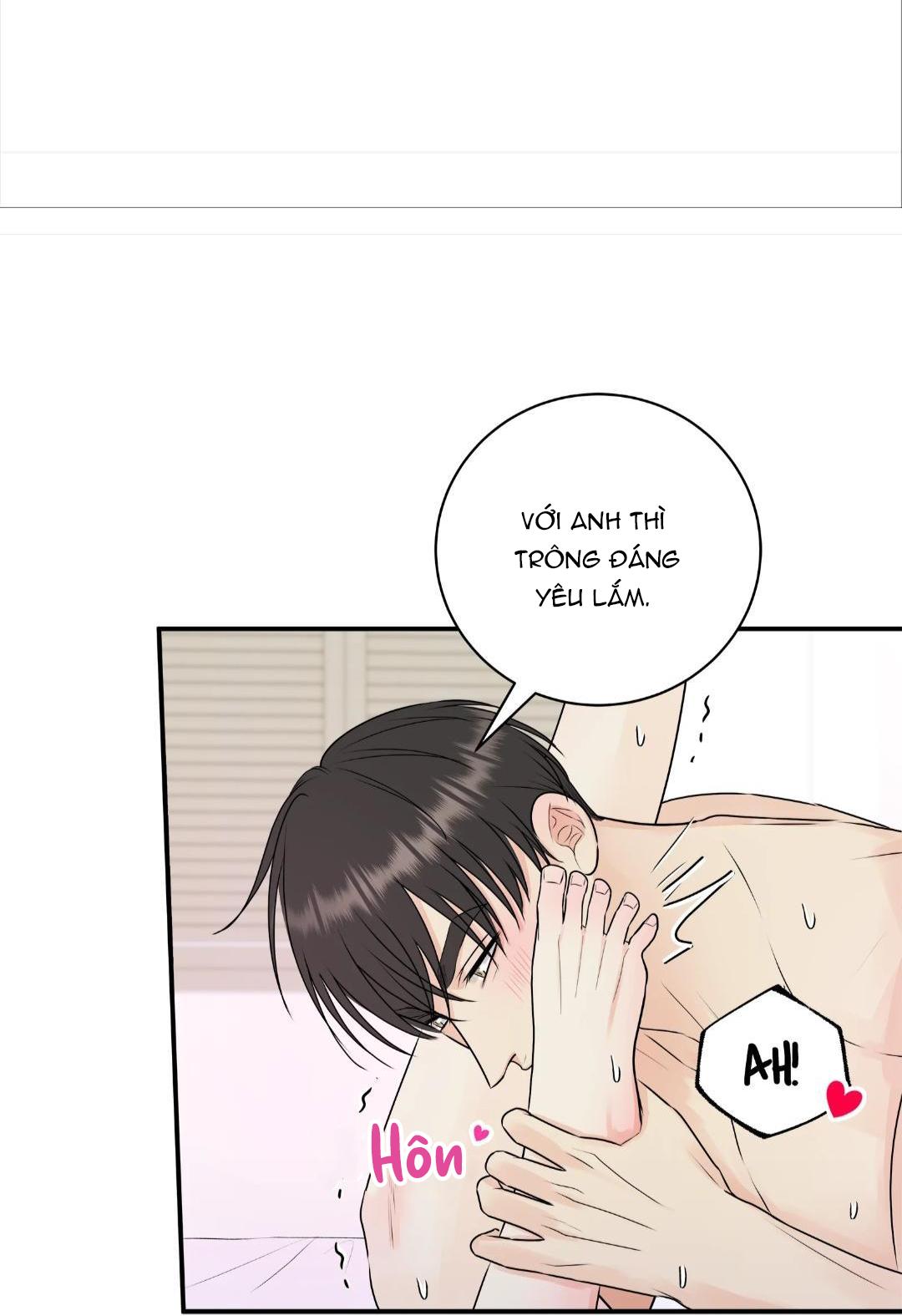 hạnh phúc trọn vẹn chapter 19 76