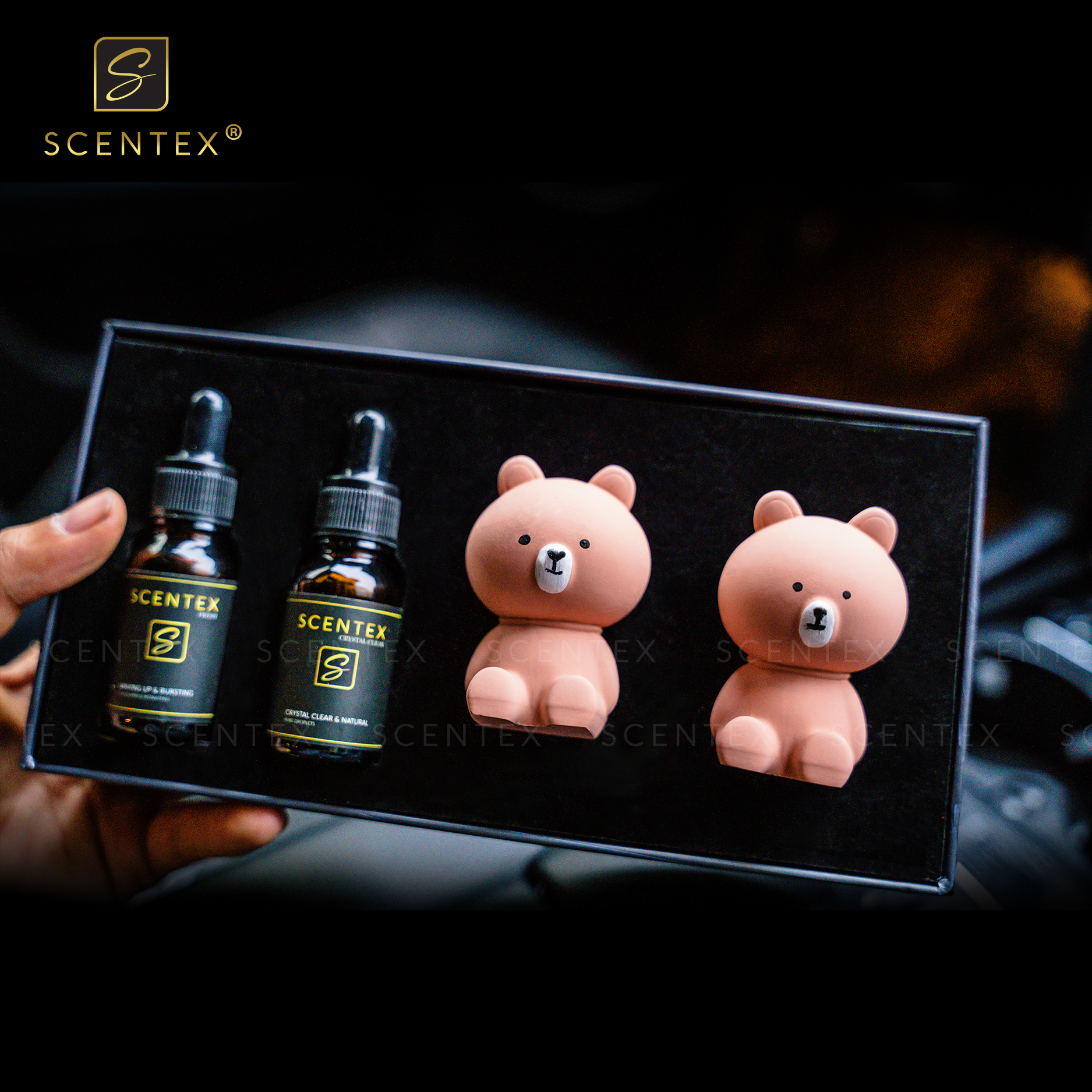 Nước hoa xe hơi cao cấp Scentex Teddy 100% Organic, được làm từ chất liệu đá Aroma Stone đặc biệt, dễ dàng thẩm thấu và khuếch tán mùi hương theo cửa gió điều hòa, khử mùi, diệt khuẩn hiệt quả - Hàng Chính Hãng